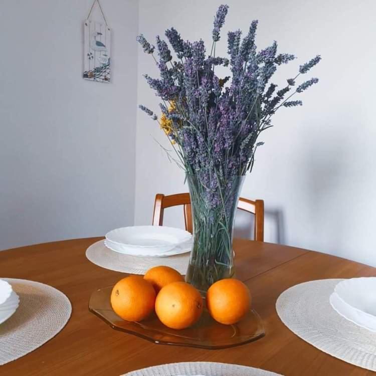 Istrian House Mojca Villa Koper Dış mekan fotoğraf