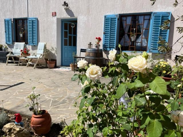 Istrian House Mojca Villa Koper Dış mekan fotoğraf